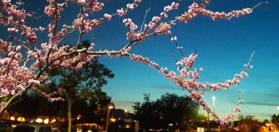 © Nilda Heyek - Inspiration