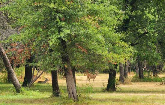 © Nilda Heyek - Buffalo Gap, Texas © Nilda Heyek - Buffalo Gap, Texas